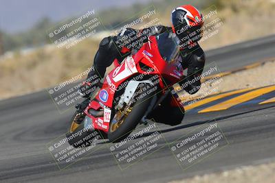 media/Feb-04-2023-SoCal Trackdays (Sat) [[8a776bf2c3]]/Turn 16 Set 2 (1125am)/